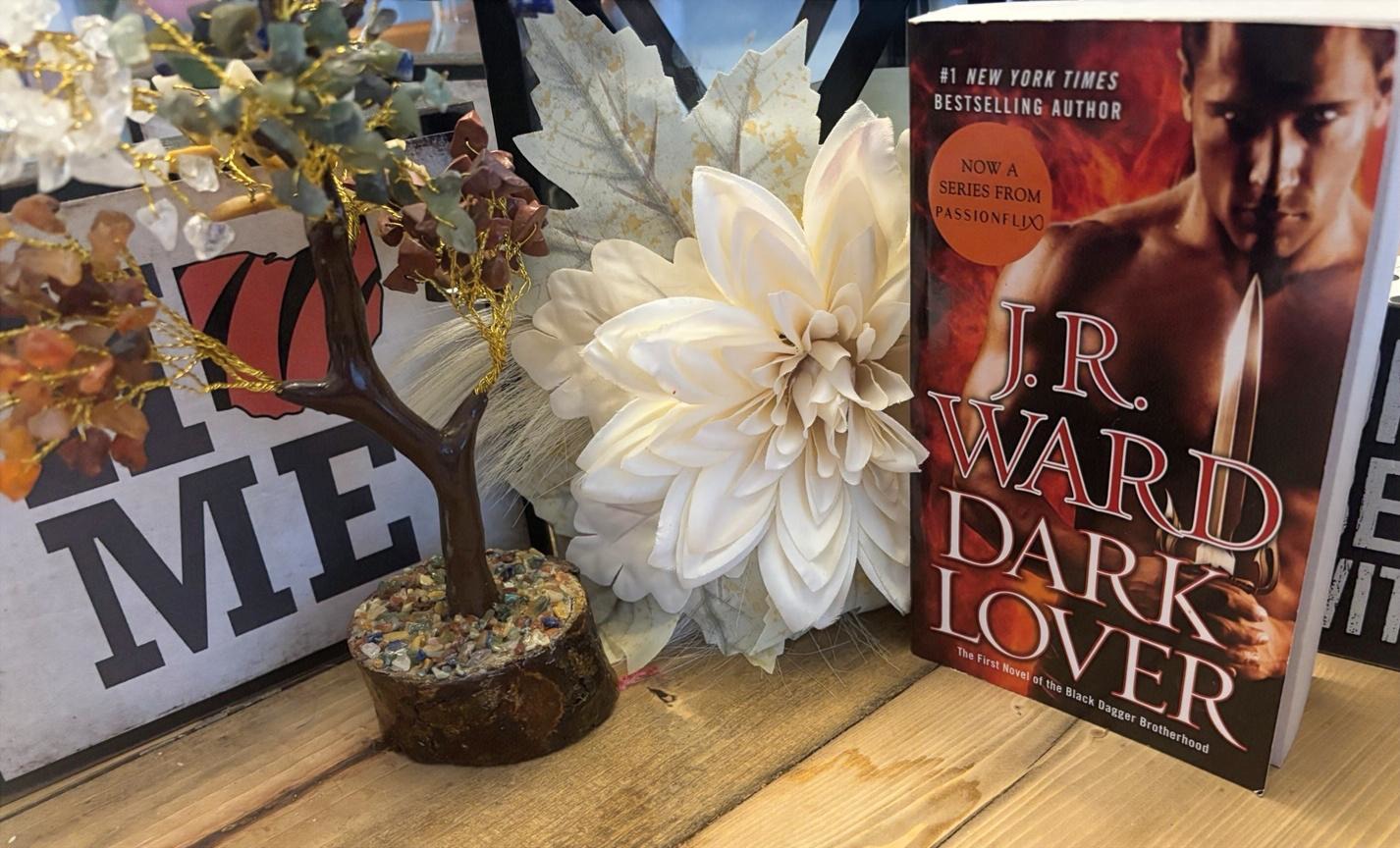 Black Dagger Brother Hood