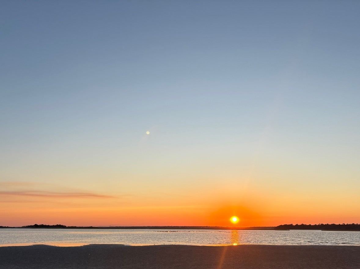 The Mornings That Built This Bookstore